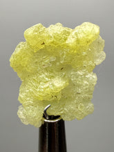 Load image into Gallery viewer, Vibrant Yellow Brucite Thumbnail Mineral Specimen | Collector Crystal from Killa Saifullah District in Balochistan Province, Pakistan
