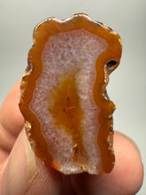 Load image into Gallery viewer, Lot of 4 Small Malawi Agate Halves – Polished Rare Colorful Collector Specimens
