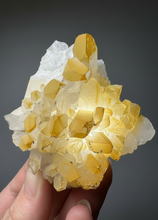 Load image into Gallery viewer, High Grade Golden Iron-Stained Himalayan Quartz Cluster | Rare Pakistan Mineral Specimen | Collector Display Crystal
