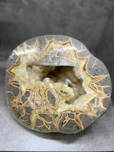 Load image into Gallery viewer, Septarian Nodule with Golden Barite Gems from Utah
