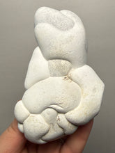 Load image into Gallery viewer, Chichaoua Menalite “Fairy Stone” Concretion | Natural Collector Display Specimen | Morocco
