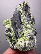 Load image into Gallery viewer, High-Grade Green Wavellite Collectors Specimen - Radiating Botryoidal Crystal Formation - Arkansas, USA
