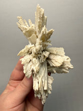 Load image into Gallery viewer, Rare Natural Anhydrite Collector Mineral Specimen | Brazil
