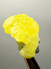 Load image into Gallery viewer, Vibrant Yellow Brucite Thumbnail Mineral Specimen | Collector Crystal from Killa Saifullah District in Balochistan Province, Pakistan
