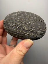 Load image into Gallery viewer, Pyrite Concretion Ball (Natural “Pyrite Sphere”) — Yunnan Province, China | Mineral Specimen
