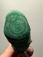 Load image into Gallery viewer, 4.6” High-Grade Malachite Stalactite Botryoidal “Cave” Formation | DR Congo | Mineral Collector Specimen
