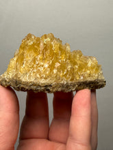 Load image into Gallery viewer, Golden Glow Calcite Cluster | Maharashtra, India
