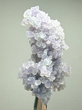 Load image into Gallery viewer, Indonesian Grape Agate (Botryoidal Purple Chalcedony) Display Specimen | Mamuju, West Sulawesi, Indonesia
