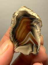 Load image into Gallery viewer, Premium Sumatra Agate (Banded Chalcedony) Display Specimen | Indonesia
