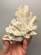 Load image into Gallery viewer, Rare Natural Anhydrite Collector Mineral Specimen | Brazil
