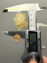 Load image into Gallery viewer, 1.4” High-Grade Flower Calcite Specimen | Wenshan Mine, Yunnan, China | Collector Mineral Display
