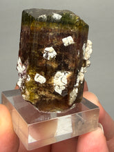 Load image into Gallery viewer, Tri-Color Tourmaline with Feldspar Mineral Specimen – Pakistan
