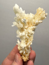 Load image into Gallery viewer, 3.7” High-Grade Flower Calcite Specimen | Wenshan Mine, Yunnan, China | Collector Mineral Display
