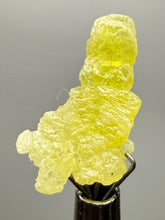 Load image into Gallery viewer, Vibrant Yellow Brucite Thumbnail Mineral Specimen | Collector Crystal from Killa Saifullah District in Balochistan Province, Pakistan
