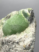Load image into Gallery viewer, High-Grade Green Wavellite Collectors Specimen - Radiating Botryoidal Crystal Formation - Arkansas, USA
