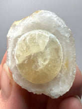 Load image into Gallery viewer, Rare Botryoidal Yellow Fluorite on Quartz Matrix  Collector Mineral Specimen – Maharashtra, India
