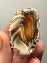 Load image into Gallery viewer, Premium Sumatra Agate (Banded Chalcedony) Display Specimen | Indonesia
