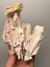 Load image into Gallery viewer, Rare Natural Pink Anhydrite Collector Mineral | Brazil
