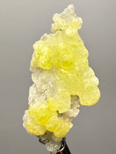Load image into Gallery viewer, Vibrant Yellow Brucite Thumbnail Mineral Specimen | Collector Crystal from Killa Saifullah District in Balochistan Province, Pakistan
