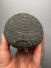 Load image into Gallery viewer, Pyrite Concretion Ball (Natural “Pyrite Sphere”) — Yunnan Province, China | Mineral Specimen
