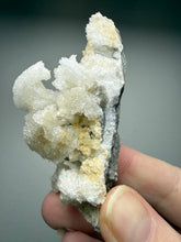 Load image into Gallery viewer, Moroccan Ram’s Horn Selenite (Gypsum) Crystal Display Specimen
