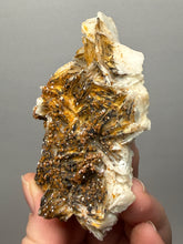 Load image into Gallery viewer, Natural Vanadinite on Matrix | Collector Mineral Specimen | Morocco
