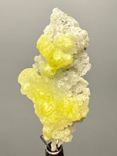 Load image into Gallery viewer, Vibrant Yellow Brucite Thumbnail Mineral Specimen | Collector Crystal from Killa Saifullah District in Balochistan Province, Pakistan
