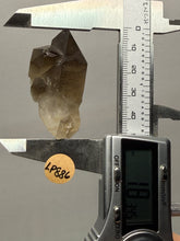 Load image into Gallery viewer, Smoky Quartz Crystal Specimen | Natural Collector Mineral – Brazil
