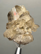 Load image into Gallery viewer, Smoky Quartz Crystal Specimen | Natural Collector Mineral – Brazil
