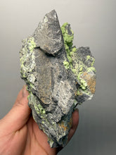 Load image into Gallery viewer, High-Grade Green Wavellite Collectors Specimen - Radiating Botryoidal Crystal Formation - Arkansas, USA
