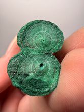 Load image into Gallery viewer, 3.5” Double Druzy Malachite Stalactite — Botryoidal “Cave” Formation | DR Congo  | Collector Mineral Specimen
