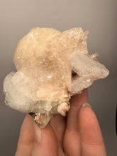 Load image into Gallery viewer, High-Grade Apophyllite on Pink Stilbite Zeolite | Indian Collector Mineral Specimen
