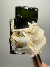 Load image into Gallery viewer, Dark Green Stak Nala Tourmaline and Cleavelandite – Haramosh Mountains, Pakistan | Thumbnail Specimen
