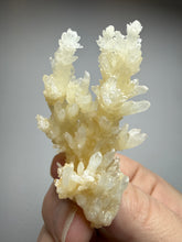 Load image into Gallery viewer, High-Grade Coral Aragonite Crystal Specimen – Wenshan Mine, Yunnan, China
