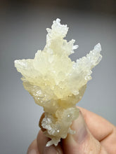 Load image into Gallery viewer, High-Grade Coral Aragonite Specimen | Wenshan Mine, Yunnan, China | Collector Mineral Display
