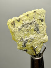 Load image into Gallery viewer, Vibrant Yellow Brucite Thumbnail Mineral Specimen | Collector Crystal from Killa Saifullah District in Balochistan Province, Pakistan
