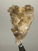 Load image into Gallery viewer, Smoky Quartz Crystal Specimen | Natural Collector Mineral – Brazil
