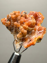 Load image into Gallery viewer, “Goblin Chalcedony” Pink &amp; Orange Druzy Botryoidal Stalactites— Tichka Massif, High Atlas, Morocco
