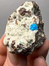 Load image into Gallery viewer, Rare Electric Blue Pentagonite on Druzy Matrix – Collector Mineral Specimen | India
