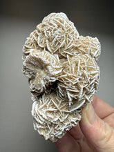 Load image into Gallery viewer, Desert Rose Selenite (Gypsum) — Mineral Display Specimen | Mexico
