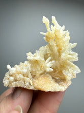 Load image into Gallery viewer, High-Grade Coral Aragonite Crystal Specimen – Wenshan Mine, Yunnan, China

