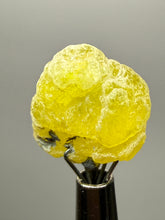 Load image into Gallery viewer, Vibrant Yellow Brucite Thumbnail Mineral Specimen | Collector Crystal from Killa Saifullah District in Balochistan Province, Pakistan
