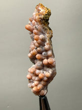 Load image into Gallery viewer, “Goblin Chalcedony” Pink and Red Druzy Botryoidal Stalactites — Tichka Massif, High Atlas, Morocco
