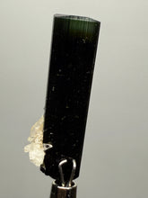 Load image into Gallery viewer, Dark Green Cap Stak Nala Tourmaline and Cleavelandite – Haramosh Mountains, Pakistan | Thumbnail Specimen
