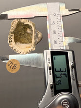Load image into Gallery viewer, Bivalve (Pelecypoda) Fossil Sea Shell with Chalcopyrite | Mineralized Fossil Specimen | Indonesia
