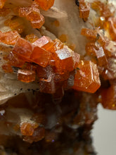 Load image into Gallery viewer, Natural Vanadinite on Matrix | Collector Mineral Specimen | Morocco
