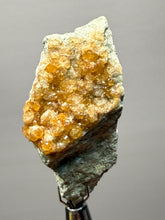 Load image into Gallery viewer, Hessonite Garnet Cluster on Matrix – Natural Collector Specimen from Pakistan | High-Grade Orange-Red Garnet Crystals
