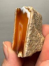 Load image into Gallery viewer, Premium Sumatra Agate (Banded Chalcedony) Display Specimen | Indonesia
