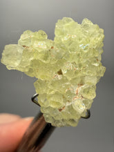 Load image into Gallery viewer, Vibrant Yellow Brucite Thumbnail Mineral Specimen | Collector Crystal from Killa Saifullah District in Balochistan Province, Pakistan
