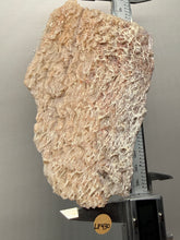 Load image into Gallery viewer, Chalcedony Quartz Rose Agate Collector Mineral Specimen – Morocco
